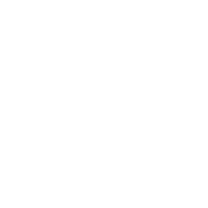 17631239985099c055t