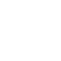 17731212529196s0g6